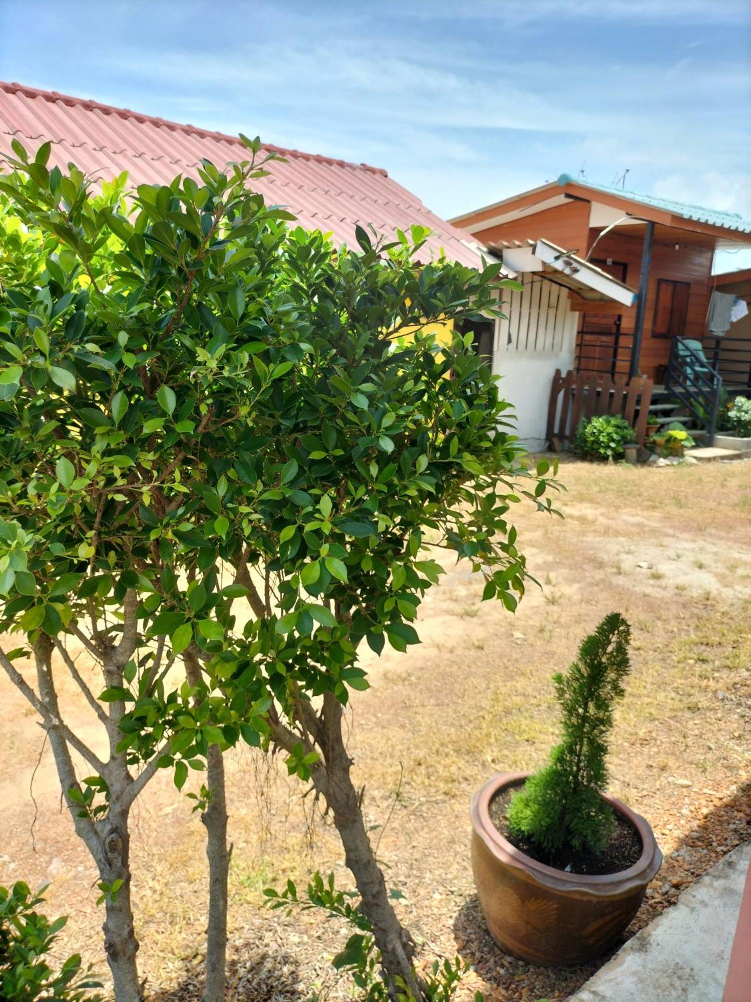 Lanta Rabbit Rooms Ko Lanta Dış mekan fotoğraf